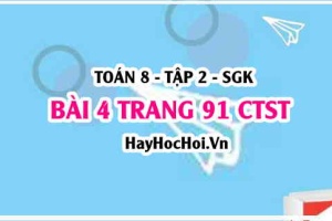 Bài 4 trang 91 Toán 8 Tập 2 Chân trời sáng tạo